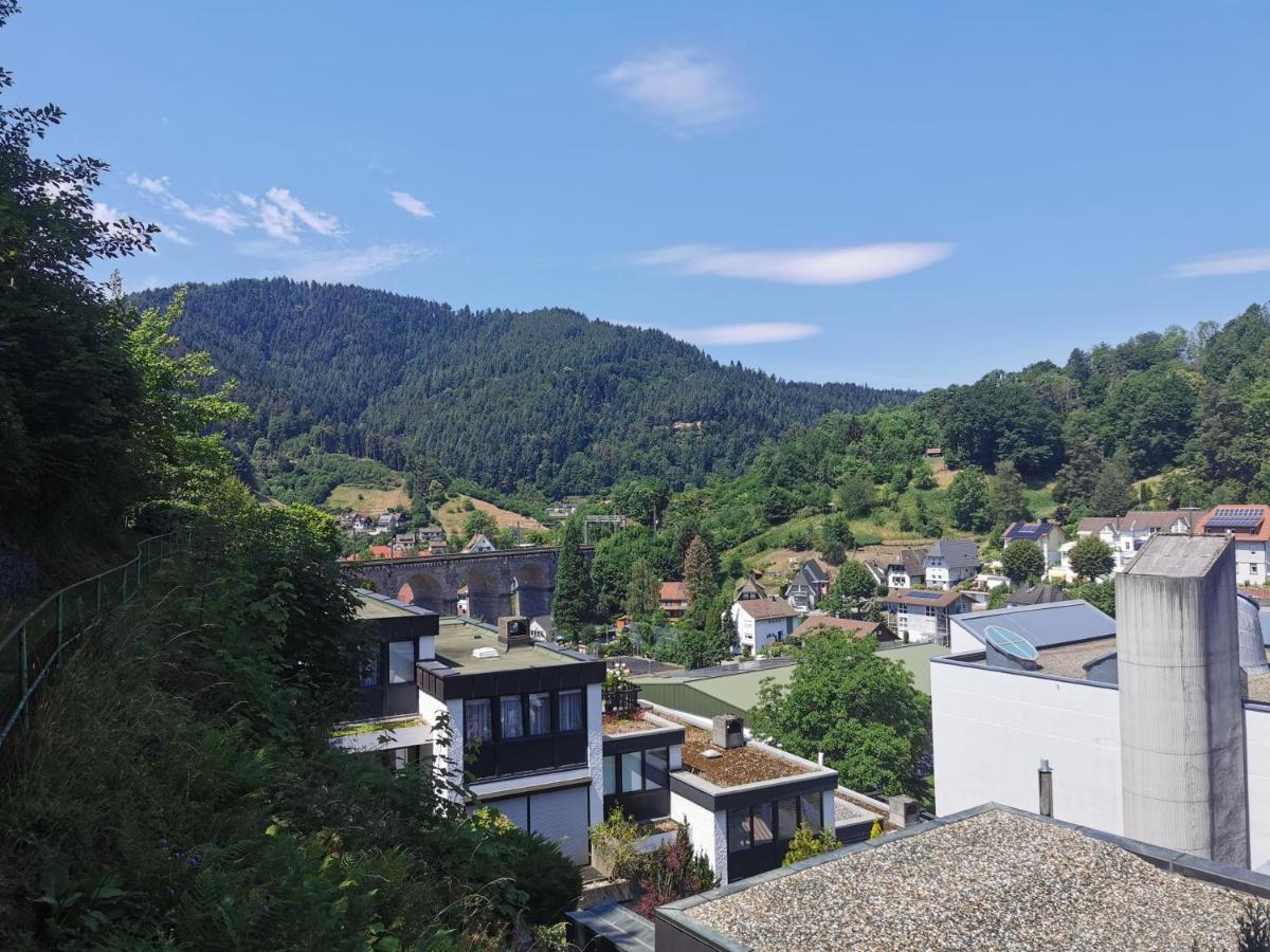 Terrassenwohnung Mit Toller Aussicht & Zentrumsnah Hornberg Exterior foto